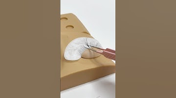 SHOP NOW! LINK IN BIO #lashsupplies #lashfan #bestlashglue #lashextensions #lashproducts #lashtech