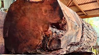 Large Logs at the Sawmill
