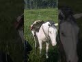 Sa glisse avec Blay_zort