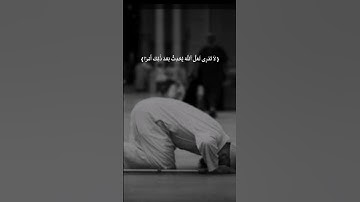 قرآن الكريم بصوت الشيخ رعد محمد الكردي سورة الطلاق