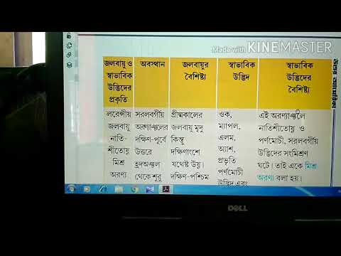 ভিডিও: চিরসবুজ এবং শীতকালীন উদ্ভিদ বাড়ছে