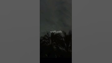 ربِّ اغفر لي ولوالديَّ | القارئ : علي جابر