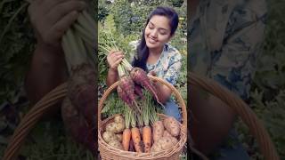 Bone Meal for Root Vegetables 🥕🦴 | Secret Fertilizer for Root Vegetables