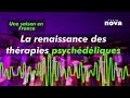 La renaissance des thrapies psyc.liques