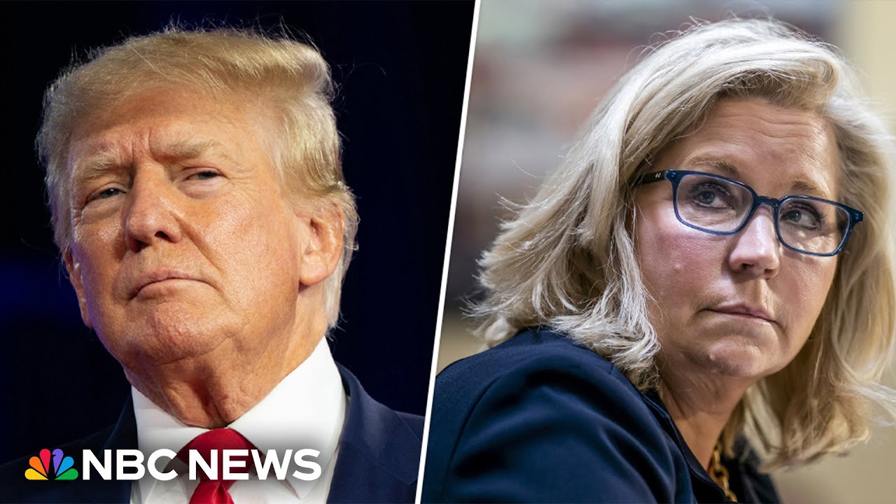 Panel: Base Republicans aren’t looking to Liz Cheney for her opinion on Trump