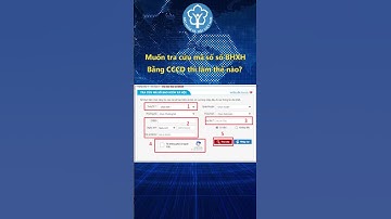 muốn tra cứu mã số sổ BHXH bằng Căn Cước công dân thì làm thế nào 1