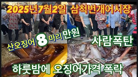 8 live squids for 10,000 won Samcheok Beongae Fish Market squid price crash human bomb July 2, 2025