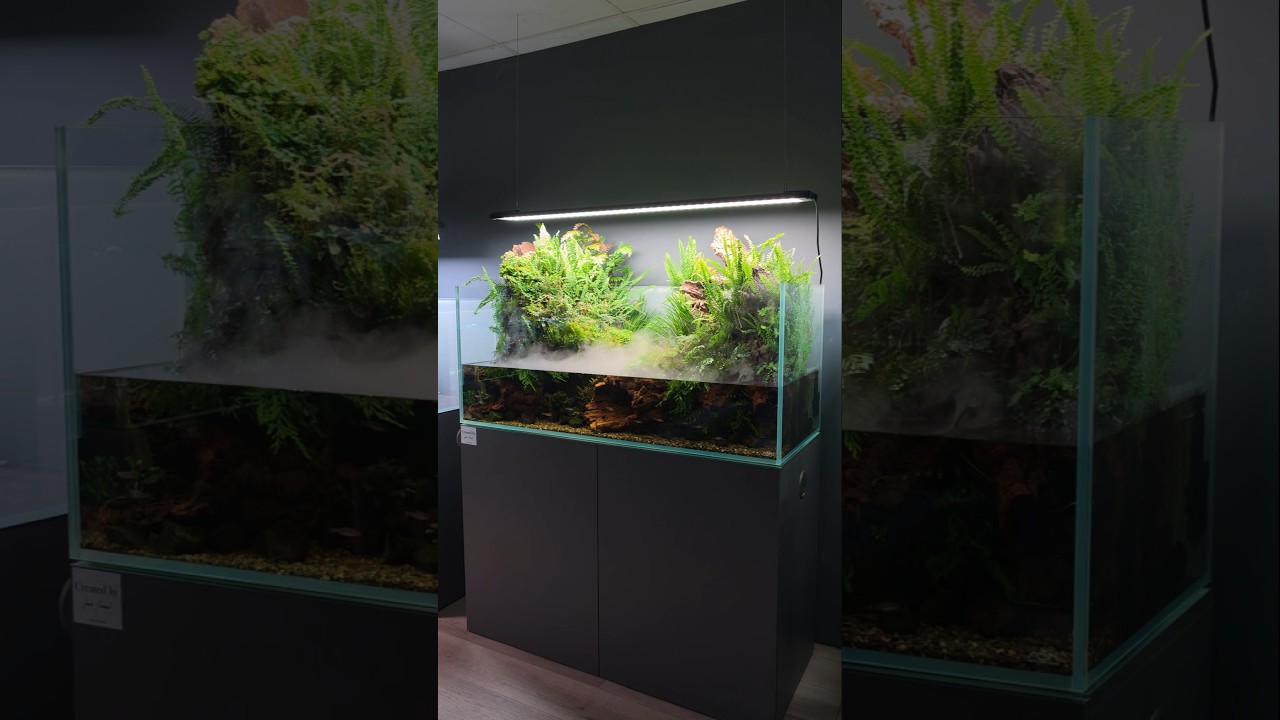 Relaxing Paludarium 😌 #aquascaping #aquascape #paludarium #terrarium