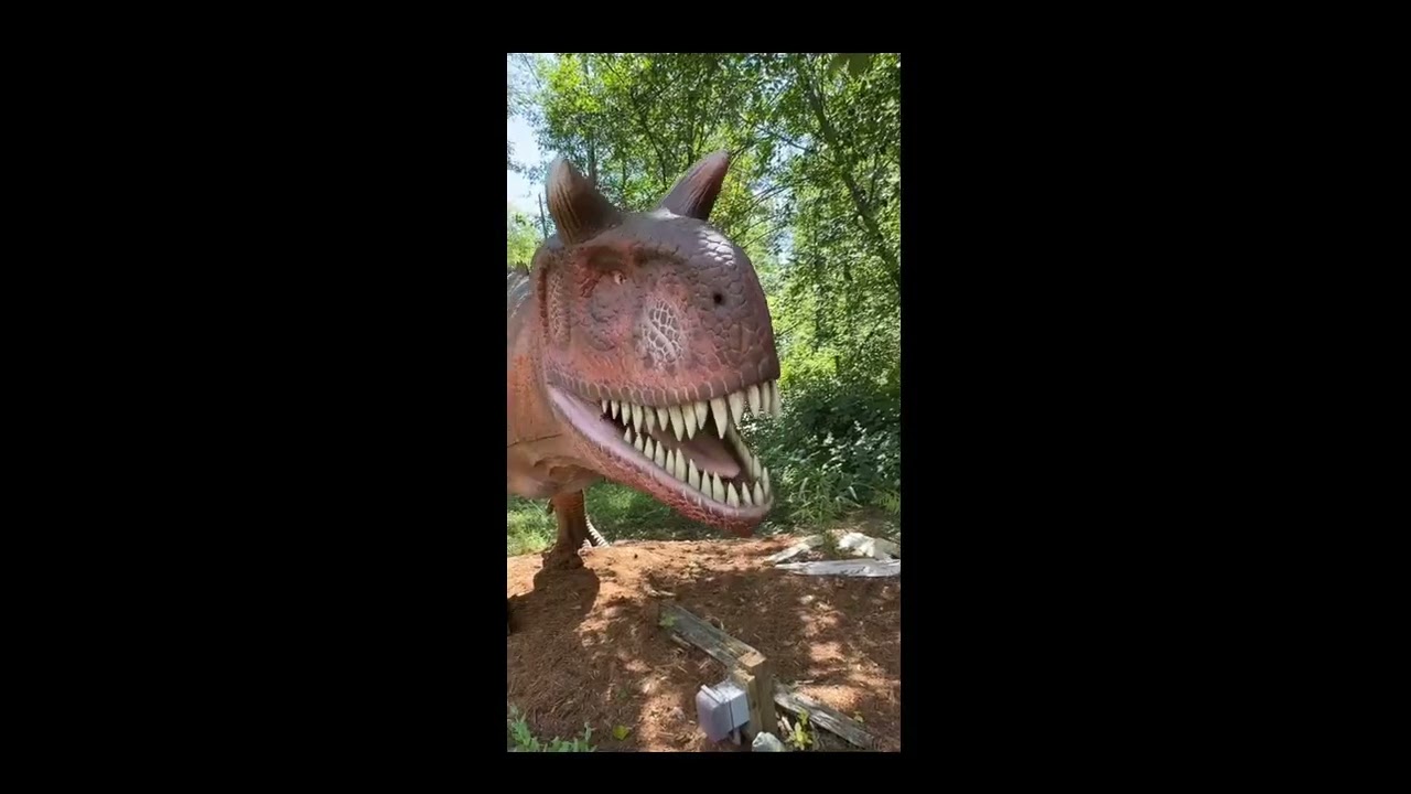 Vancouver Zoo is NOW AMAZING