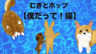 ほのぼのアニメ Youtube