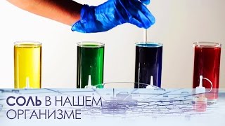 Нужна ли нашему организму соль? Нужна ли нашему организму соль?