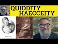  quiddity meaning  haecceity examples quiddity defined haecceity explained  quiddity vs haecceity