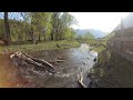 Релакс видео, Солнечный день и шум реки, пение птиц, звуки воды, горная река, Алтай Эдиган