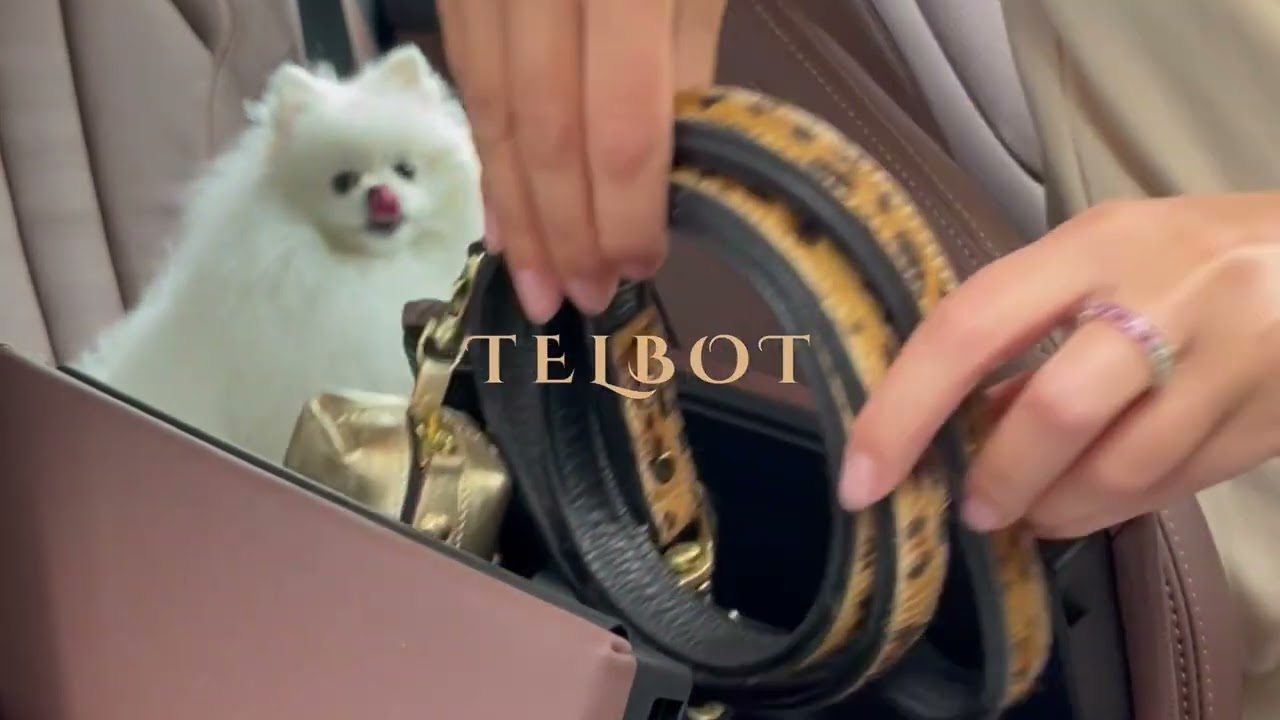 Luxury pet accessories TELBOT