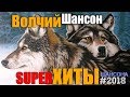 Волчий Шансон - все супер хиты жанра 2018