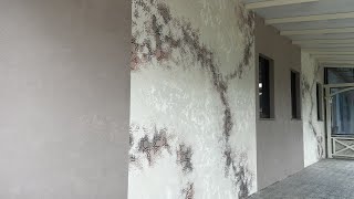 видео: Невероятная АКЦЕНТНАЯ СТЕНА из декоративной штукатурки с трафаретами картинка: Невероятная АКЦЕНТНАЯ СТЕНА из декоративной штукатурки с трафаретами