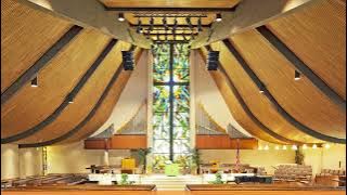 LED PAR56 Lamps with PAR64 Adapter Ring | Green Creative