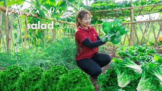 Harvesting Vegetables goes to the Market to Sell  Gardening | Lucia Daily Life