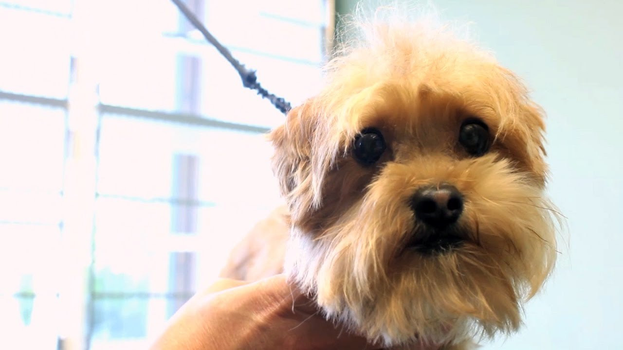 Welcome to Michigan City Animal Hospital