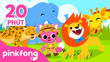 Động Vật Safari | +Tuyển tập | con sư tử 🦁 | Con voi 🐘 | Pinkfong! Cá mập con - Nhạc thiếu nhi