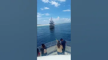 Dolphin Tours Encounter Pirates 