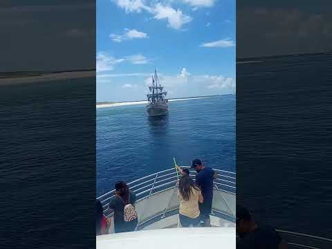 dolphin tours encounter pirates