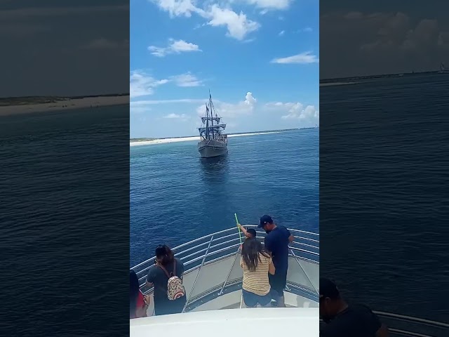 dolphin tours encounter pirates class=