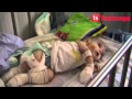 Amal Atchicha Hôpital d'enfants Saâdoun