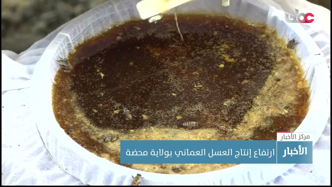 ارتفاع إنتاج العسل العماني بولاية محضة