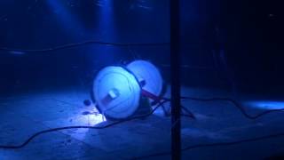 Team Roaming Robots - Ripper fighting live 2016 v Beast v Gabriel