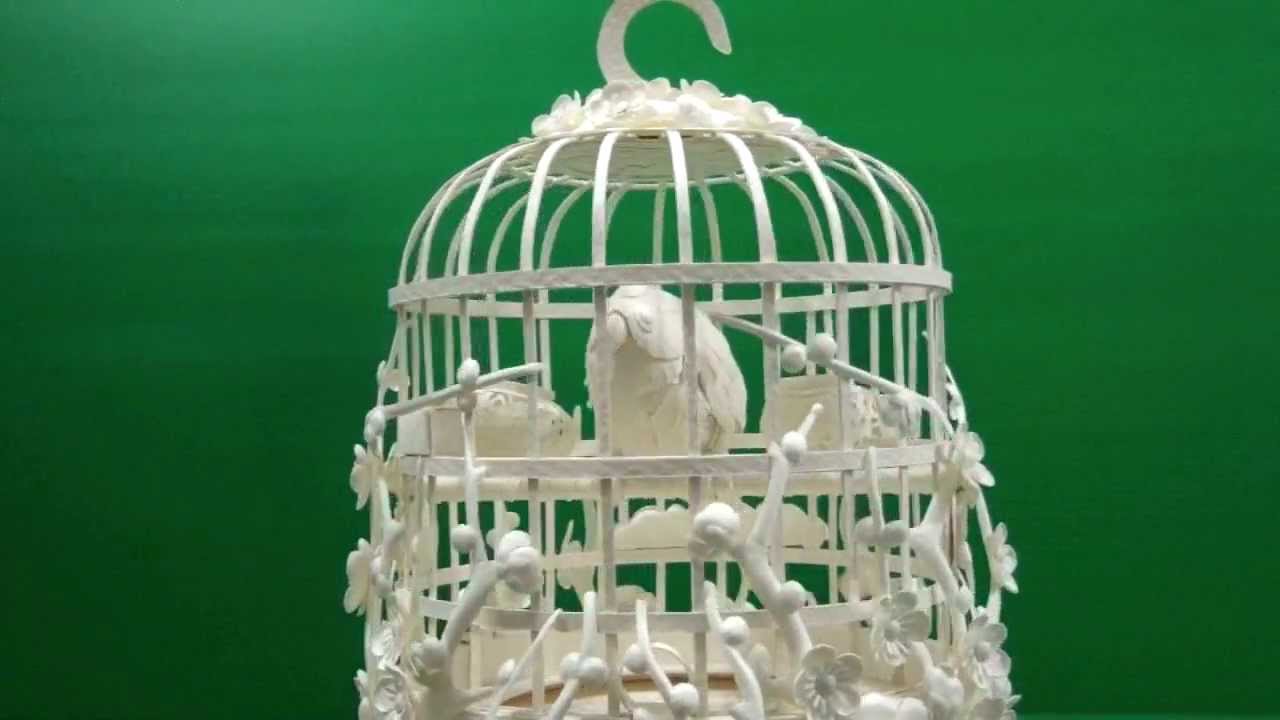 bird cage paper