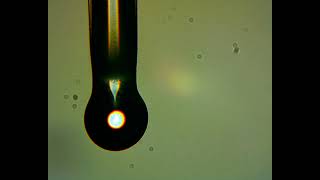 2020. CO2 laser silica WGM microsphere manufacturing.