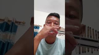 Hai Apna Dil Toh Aawara rajusaxflute