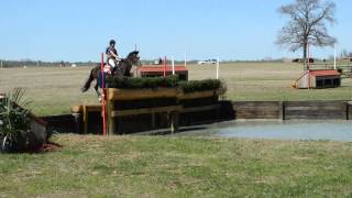 Pangare 15Ab Tx Rose