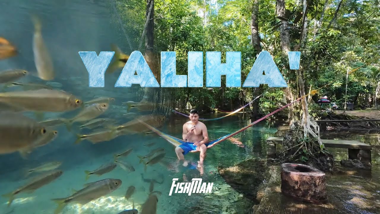 ¡Este lugar sí es un paraíso! Ecocentro Yalihá – Raxruhá, Guatemala 🇬🇹