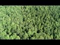 Petrp-Video Lužické hory Jedlová Srpen 2014 Video 3
