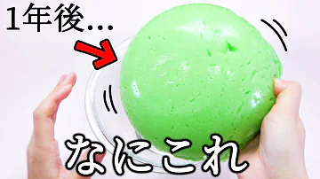 ASMR ADDING TOO MUCH INGREDIENTS INTO SLIME A YEAR LATER 入れ過ぎスライムのその後が 思ってたんと違うかった ASMR ADDING TOO MUCH INGREDIENTS INTO SLIME A YEAR LATER 入れ過ぎスライムのその後が 思ってたんと違うかった