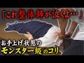 「これは整体師が可哀想だよ…」西宮で一番酷いと言われた“怪物級首肩コリ”。首と肩のキワに指を突き刺し、肩甲骨に張り付いたコリを容赦なくベリベリ剥がした結果…|悶絶整体