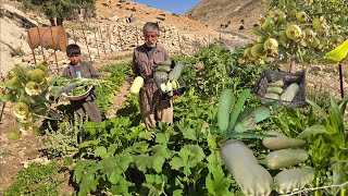 The miracle of Jahangir's hands in the nomadic garden; from pumpkin harvesting to organic dinner screenshot 2