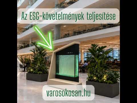 Bevezetés az ESG elvekre az online kaszinók világában