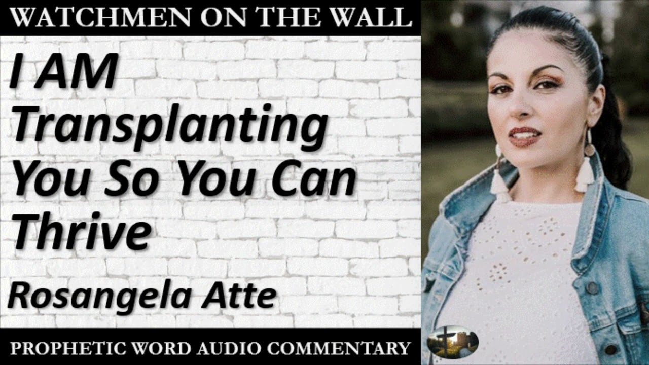 «Я пересаживаю тебя, чтобы ты мог процветать» — мощное пророческое ободрение от Розанджелы Атте