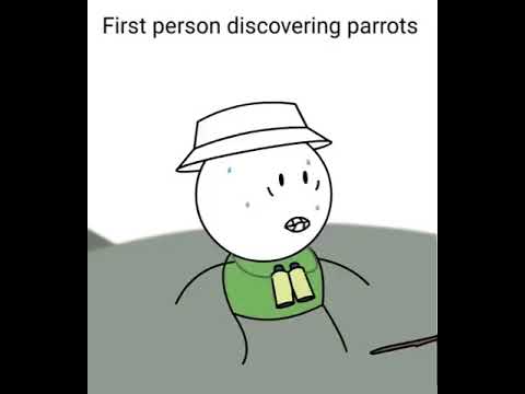 First person discovering parrots