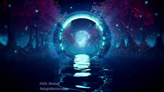 The Enchanted Forest  Looping 3d Animation blender  After Effects