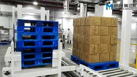 Palletizer with  Pallet feeder from Yanmao