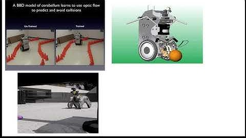 Lecture 0 - Introduction to your professor