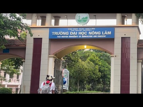 REVIEW TRƯỜNG ĐẠI HỌC NÔNG LÂM THÁI NGUYÊN ,Ngôi Trường nhiều kỉ niệm của bao thế hệ Sinh viên #vd - youtube