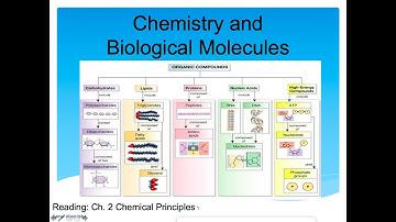 Chemistry and Biological Molecules