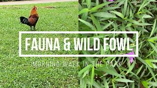 Fauna and Wild (Jungle) Fowl screenshot 3