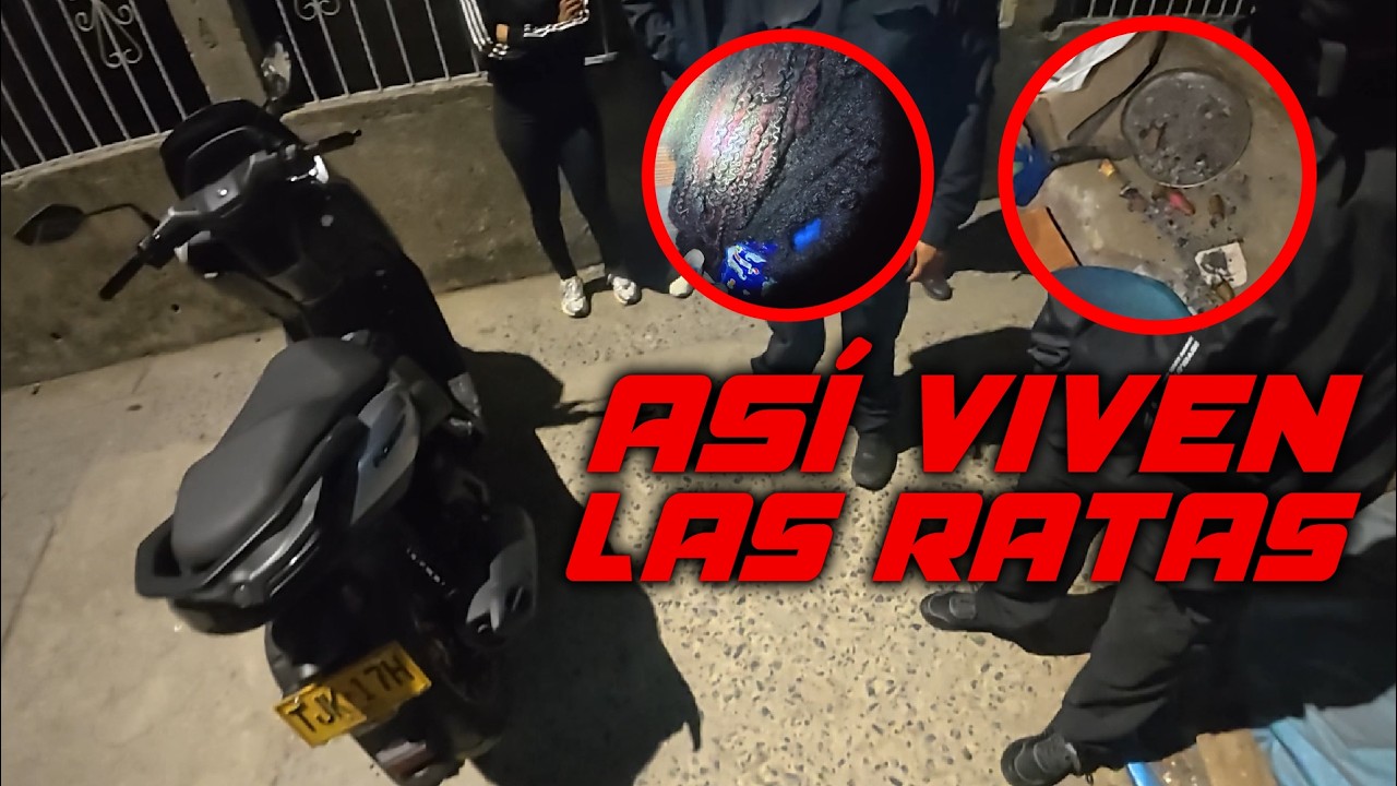 🔥CAOS TOTAL EN UN ESCONDITE: DRONES VIGILAN, DETECTORES SUENAN… LO QUE HABÍA ADENTRO ES ATERRADOR