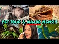 A Pet Tour And Major Life Update!!